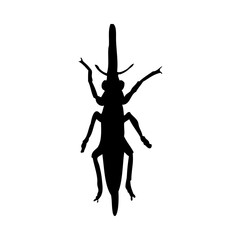 Grasshopper Silhouette