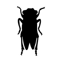 Grasshopper Silhouette