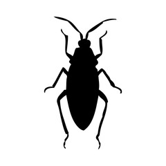 Beetle Silhouette