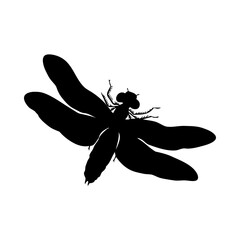Dragonfly Silhouette