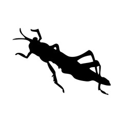 Grasshopper Silhouette