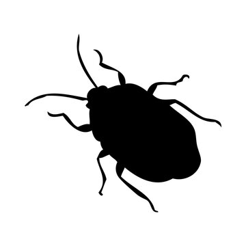 Bug Silhouette