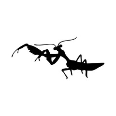 Mantis Silhouette