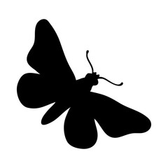 Moth Silhouette