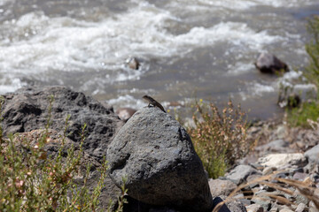 Landscape at Paso Vergara - crossing the border from Chile to Argentina while traveling South America