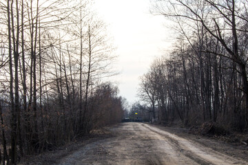 flag of ukraine on a forest road