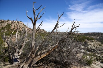 Palo Duro Canyon