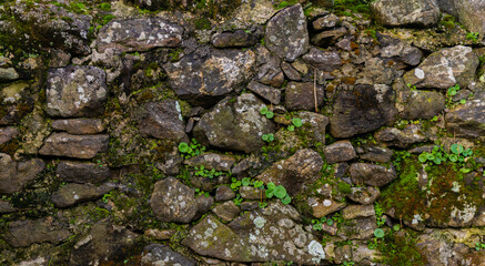 Textura de piedras con musgo en la naturaleza