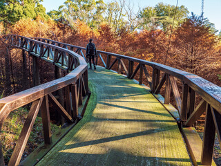 Man with backpack walking on bridge in autumn forest park.Travel, adventure, and tourism concept.