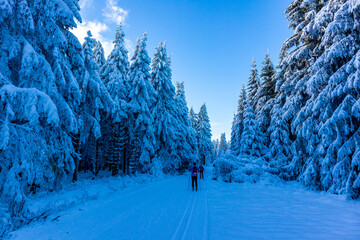 Schöne Winterlandschaft auf den Höhen des Thüringer Waldes bei Oberhof - Thüringen