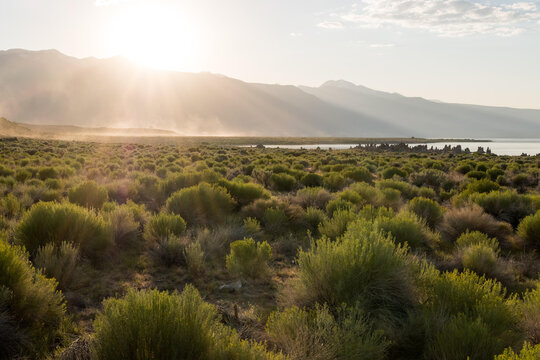 The sun sets behind the mountains at Mono Lake South Tufa.; Mono Lake, California, United States of America