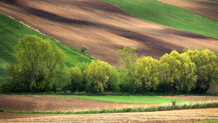 landscape with field © Sieku Photo