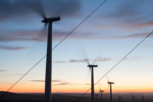Support wires for electric distribution near windmill turbines in a landscape at sunset.; Kennewick, Washington