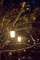Beautiful scenic view of tree with illuminated lanterns and historic house in the background on a blue cloudy late autumn evening. Photo taken December 19th, 2022, Zurich, Switzerland.