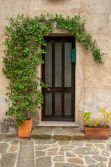Fototapeta na wymiar Background with door and ornamental plant
