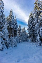 Schöne Winterlandschaft auf den Höhen des Thüringer Waldes bei Oberhof - Thüringen