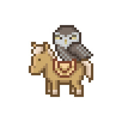 Owl riding a pony, pixel art meme
