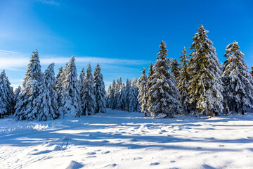 Schöne Winterlandschaft auf den Höhen des Thüringer Waldes bei Oberhof - Thüringen