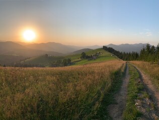Field road on the mountain near the forest. Carpathian mountains in a summer evening, view into the distance. Mountain range at sunset.