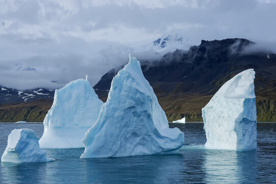 Icebergs in a bay near South Georgia Island's mountainous coast.