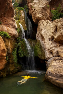 Cooling off, Elves Chasm, Grand Canyon National Park, Arizona.