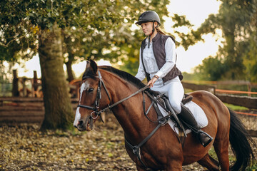 A young beautiful woman jockey is preparing for a show jumping competition. A woman rider rides a brown racehorse.