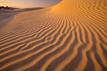 Sand dunes at Sand Dollar Beach, Isla Magdalena, sunset.