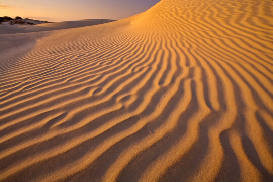 Sand dunes at Sand Dollar Beach, Isla Magdalena, sunset.