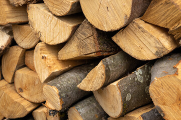 Fototapeta premium Several Wood logs cut for winter firewood.