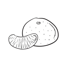 The whole tangerine with slice in black isolated on white background. Hand drawn vectorsketch illustration in doodle simple vintage engraved outline style. Fresh winter fruit, vitamins, healthy.