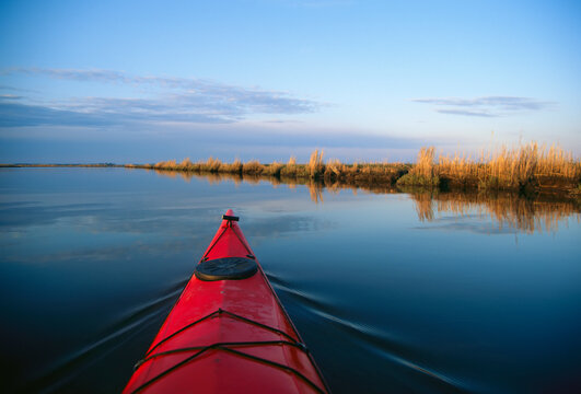 A kayak glides across the mirror-smooth surface of Blackwater River.; Blackwater River, Blackwater National Wildlife Refuge, Maryland.