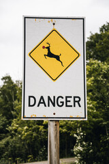 Reindeer Crossing Traffic Sign