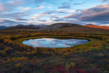 Pink clouds at sunset reflect in a small pond along the Dempster Highway; Dawson City, Yukon, Canada