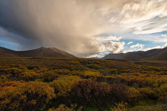 A passing shower hovers over Mount Boyle along the Dempster Highway. Fall colours grace the landscape creating an scene of sheer beauty; Dawson City, Yukon, Canada