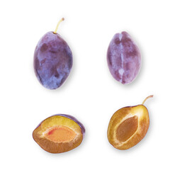 Three plums with leaves on white background