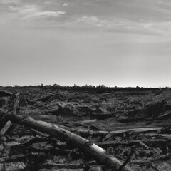 battlefield
