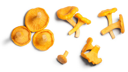 Chanterelles or girolles mushrooms (Cantharellus cibarius), top view isolated png - obrazy, fototapety, plakaty