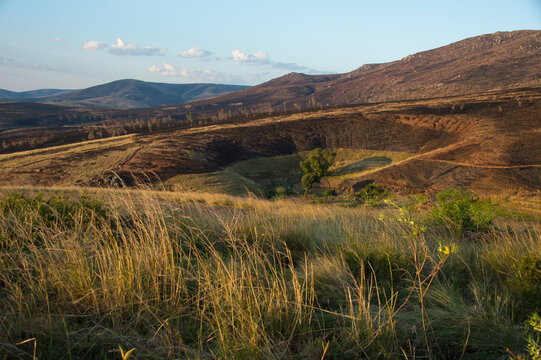 North central Madagascar highlands, where annual, landscape-wide burning is the norm; Madagascar