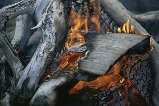 Licks of flame begin to engulf dry wood in a campfire; Vargas Island, British Columbia, Canada