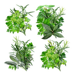 Set of fine herbs (Fines Herbes, Herbes de Provence) isolated png