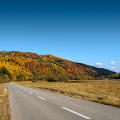 Colorful and bright autumn forest, hills panorama. View of colorful trees in the forest. Fall natural background with copy space