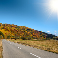 Colorful and bright autumn forest, hills panorama. View of colorful trees in the forest. Fall natural background with copy space