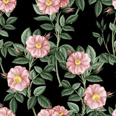 Seamless pattern with small pink roses. Vector.