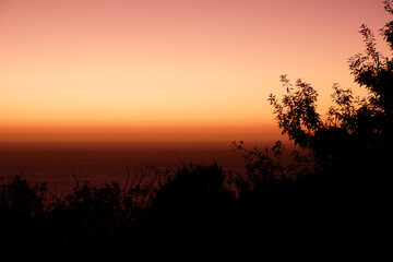 Orange sky sunset horizon with the view on pacific ocean and tree silhouette on the front