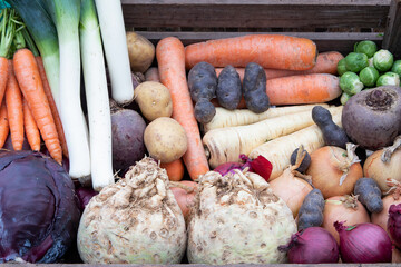 healthy winter vegetables fresh organic food 
