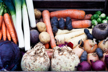 healthy winter vegetables fresh organic food