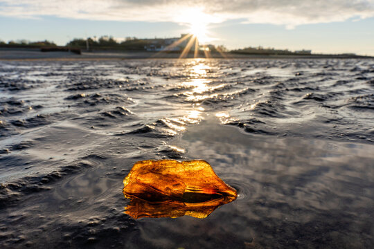 amber in the Wadden Sea at sunset