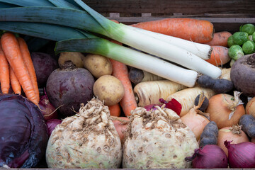 healthy winter vegetables fresh organic food 