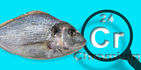 Presence of Chromium in farmed fish - concept with the Mendeleev periodic table and magnifying glass