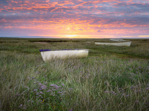 Sunrise over small boats on the salt marsh surrounded by sea lavender.